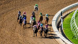 2025 Breeders’ Cup Classic at a Glance
